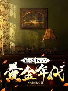 重返1977黄金年代陈凡苏晴番外+结局（峰返回转）剧情介绍_重返1977黄金年代精彩试读