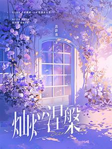 灿烂涅槃边泊寒宋辞番外+结局（苏辞也）剧情介绍_灿烂涅槃精彩试读