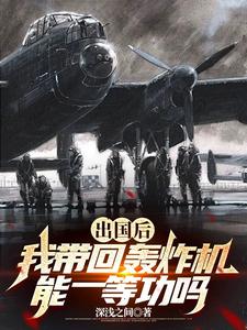 出国后，我带回轰炸机能一等功吗陆枫严卫国番外+结局（深浅之间）剧情介绍_出国后，我带回轰炸机能一等功吗精彩试读
