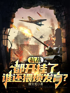 抗战：都开挂了，谁还猥琐发育？高峰番外+结局（微尘光）剧情介绍_抗战：都开挂了，谁还猥琐发育？精彩试读