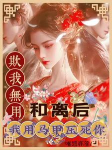 番外+结局欺我无用？和离后我用马甲压死你叶云舒藿晔庭（唯愿亦笙）剧情介绍_欺我无用？和离后我用马甲压死你精彩试读