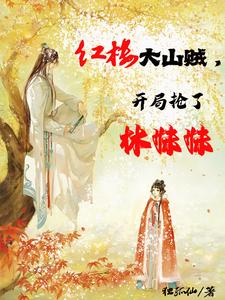 红楼大山贼，开局抢了林妹妹李清风林黛玉番外+结局（独孤仙）剧情介绍_红楼大山贼，开局抢了林妹妹精彩试读