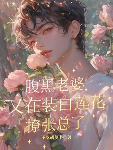 腹黑老婆又在装白莲花撩张总了白锦一倪虹番外+结局（不吃胡萝卜）剧情介绍_腹黑老婆又在装白莲花撩张总了精彩试读