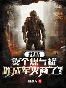 我就卖个煤气罐，咋成军火商了？沈言钟叔番外+结局（嬉戏人）剧情介绍_我就卖个煤气罐，咋成军火商了？精彩试读