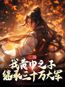 三国：我黄巾之子，继承三十万大军张靖程立番外+结局（东汉末年分三国）剧情介绍_三国：我黄巾之子，继承三十万大军精彩试读
