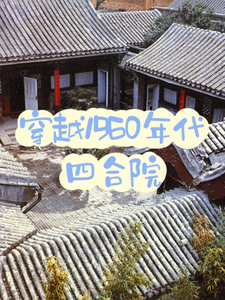 穿越1960年代四合院刘有福番外+结局（沉寂的夕阳）剧情介绍_穿越1960年代四合院精彩试读