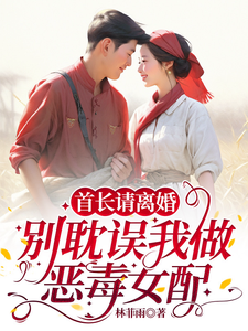首长请离婚，别耽误我做恶毒女配程小葵司沐阳小说梗概_（林菲雨）首长请离婚，别耽误我做恶毒女配程小葵司沐阳全文阅读地址+免费试读章节