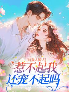 前妻太撩人，惹不起我还宠不起吗安温暖付连城小说梗概_（小小的晓晓）前妻太撩人，惹不起我还宠不起吗安温暖付连城全文阅读地址+免费试读章节