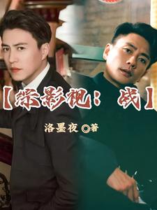 综影视：战徐肆航荣石番外+结局（洛墨夜）剧情介绍_综影视：战精彩试读