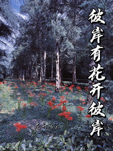 番外+结局彼岸有花开彼岸林依晓枫方清（花开浮玉）剧情介绍_彼岸有花开彼岸精彩试读