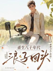 番外+结局重生八十年代浪子回头陈少华（磨磨刀儿）剧情介绍_重生八十年代浪子回头精彩试读