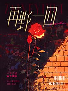 番外+结局再野一回陆之河李欣然（二爷不圆）剧情介绍_再野一回精彩试读