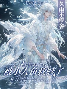 番外+结局佣兵首领陨落后，被小人鱼救赎了墨星钰（久雨不停）剧情介绍_佣兵首领陨落后，被小人鱼救赎了精彩试读