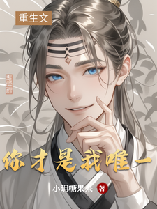 番外+结局你才是我唯一魏婴蓝湛（小玥糖果果）剧情介绍_你才是我唯一精彩试读