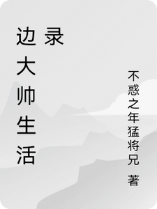边大帅生活实录边大帅小说梗概_（不惑之年猛将兄）边大帅生活实录边大帅全文阅读地址+免费试读章节