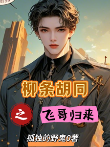 柳条胡同之飞哥归来叶飞张天明小说梗概_（孤独的野鬼）柳条胡同之飞哥归来叶飞张天明全文阅读地址+免费试读章节