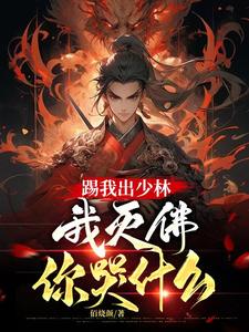踢我出少林，我灭佛你哭什么林源明净番外+结局（等风来）剧情介绍_踢我出少林，我灭佛你哭什么精彩试读