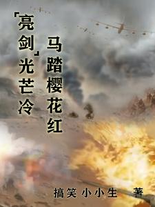 番外+结局亮剑光芒冷，马踏樱花红王睿李云龙（搞笑小小生）剧情介绍_亮剑光芒冷，马踏樱花红精彩试读