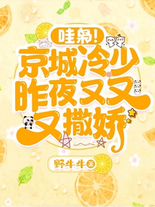 番外+结局哇枭！京城冷少昨夜又又又撒娇！邝晓晓顾泽常（野牛牛）剧情介绍_哇枭！京城冷少昨夜又又又撒娇！精彩试读