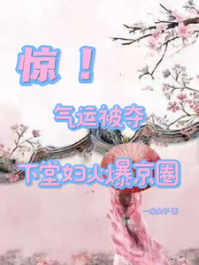 惊！气运被夺，下堂妇火爆京圈叶采苓燕擎天番外+结局（一朵女子）剧情介绍_惊！气运被夺，下堂妇火爆京圈精彩试读