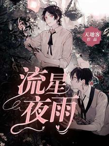 番外+结局流星夜雨张子星罗森（天地客）剧情介绍_流星夜雨精彩试读