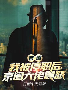 官道：我被停职后，京圈大佬震怒楚清明李秀松小说梗概_（日丽中天）官道：我被停职后，京圈大佬震怒楚清明李秀松全文阅读地址+免费试读章节