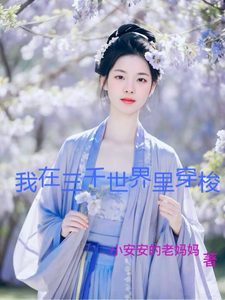 我在三千世界里穿梭叶舒颜叶老爷子番外+结局（小安安的老妈妈）剧情介绍_我在三千世界里穿梭精彩试读