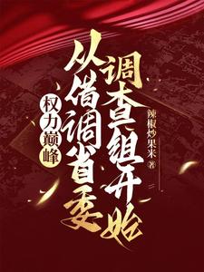 权力巅峰：从借调省委调查组开始梁兴瑞刘希西番外+结局（辣椒炒果米）剧情介绍_权力巅峰：从借调省委调查组开始精彩试读