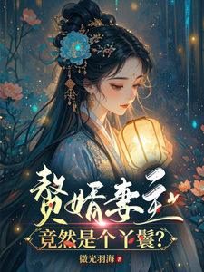 赘婿妻主竟然是个丫鬟？南茴穆平生小说梗概_（微光羽海）赘婿妻主竟然是个丫鬟？南茴穆平生全文阅读地址+免费试读章节