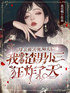 母亲被害三十天后，我怒踩渣男小三狂炸了天林苏纪承允番外+结局（北宫嫣）剧情介绍_母亲被害三十天后，我怒踩渣男小三狂炸了天精彩试读