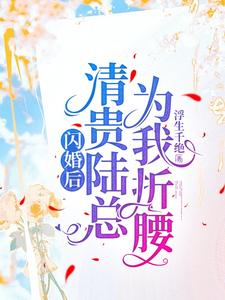 闪婚后，清贵陆总为我折腰温拂陆迢小说梗概_（浮生千绝）闪婚后，清贵陆总为我折腰温拂陆迢全文阅读地址+免费试读章节
